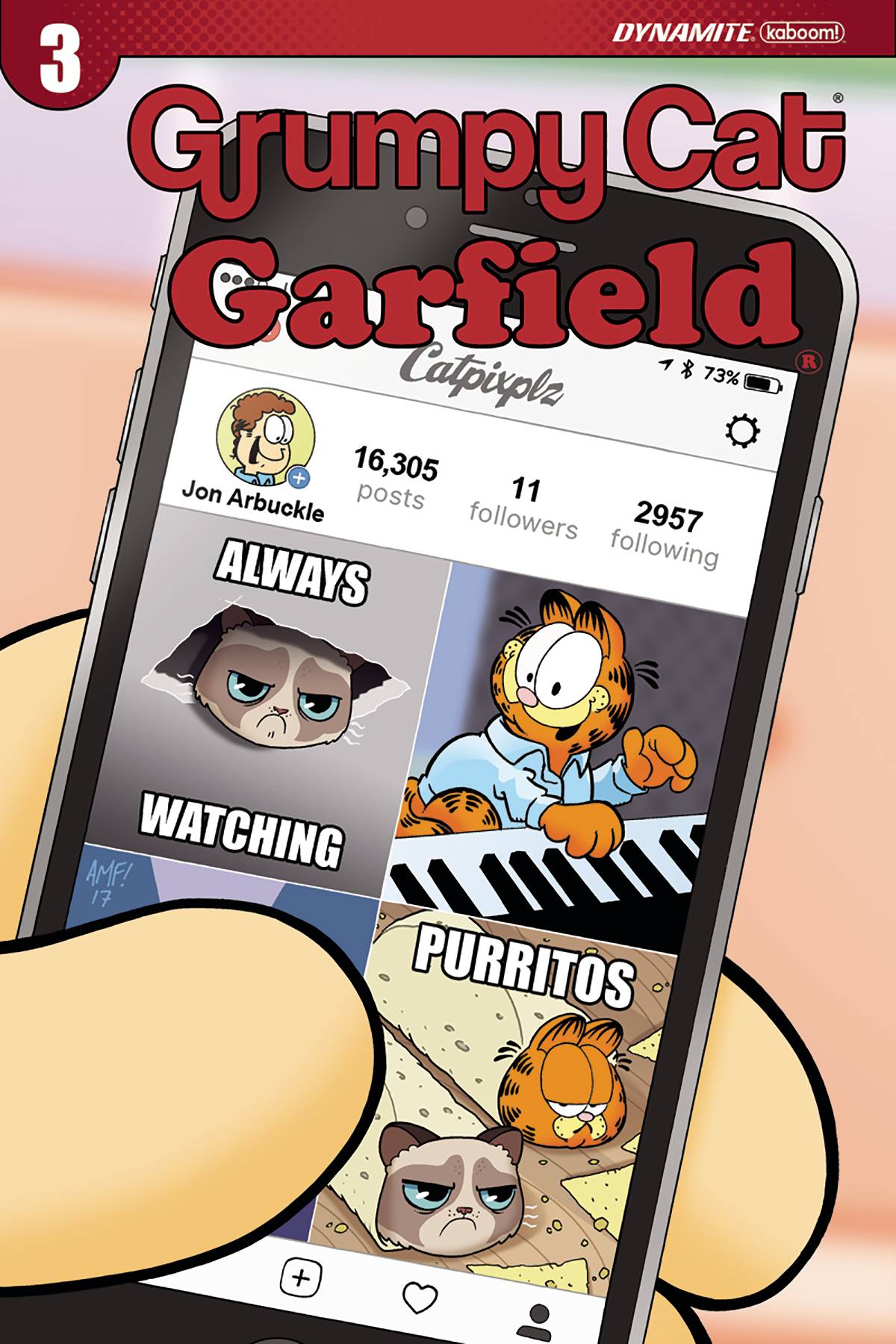 GRUMPY CAT GARFIELD #3 (OF 3) COVER D FLEECS